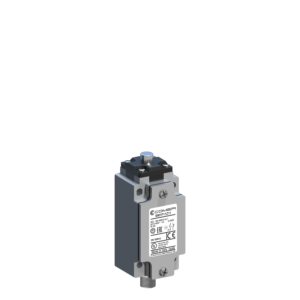 BM1P11M