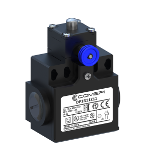 DP2R11