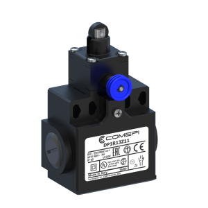 DP2R13